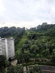 Blk 37 Telok Blangah Rise (Bukit Merah), HDB 5 Rooms #563675841